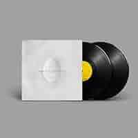 ■稀少高音質アナログ盤■WILCO / ウィルコ■Cousin■1LP / 20 □稀少高音質アナログ盤□WILCO / ウィルコ□Cousin□1LP / 20